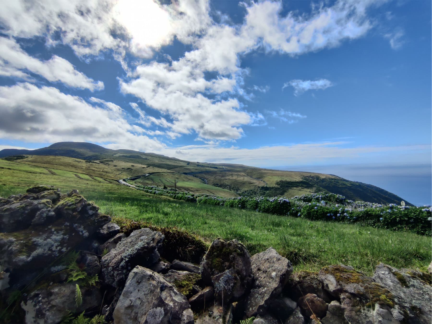 Green plateau, stone walls and hydrangeas under a wide sky
