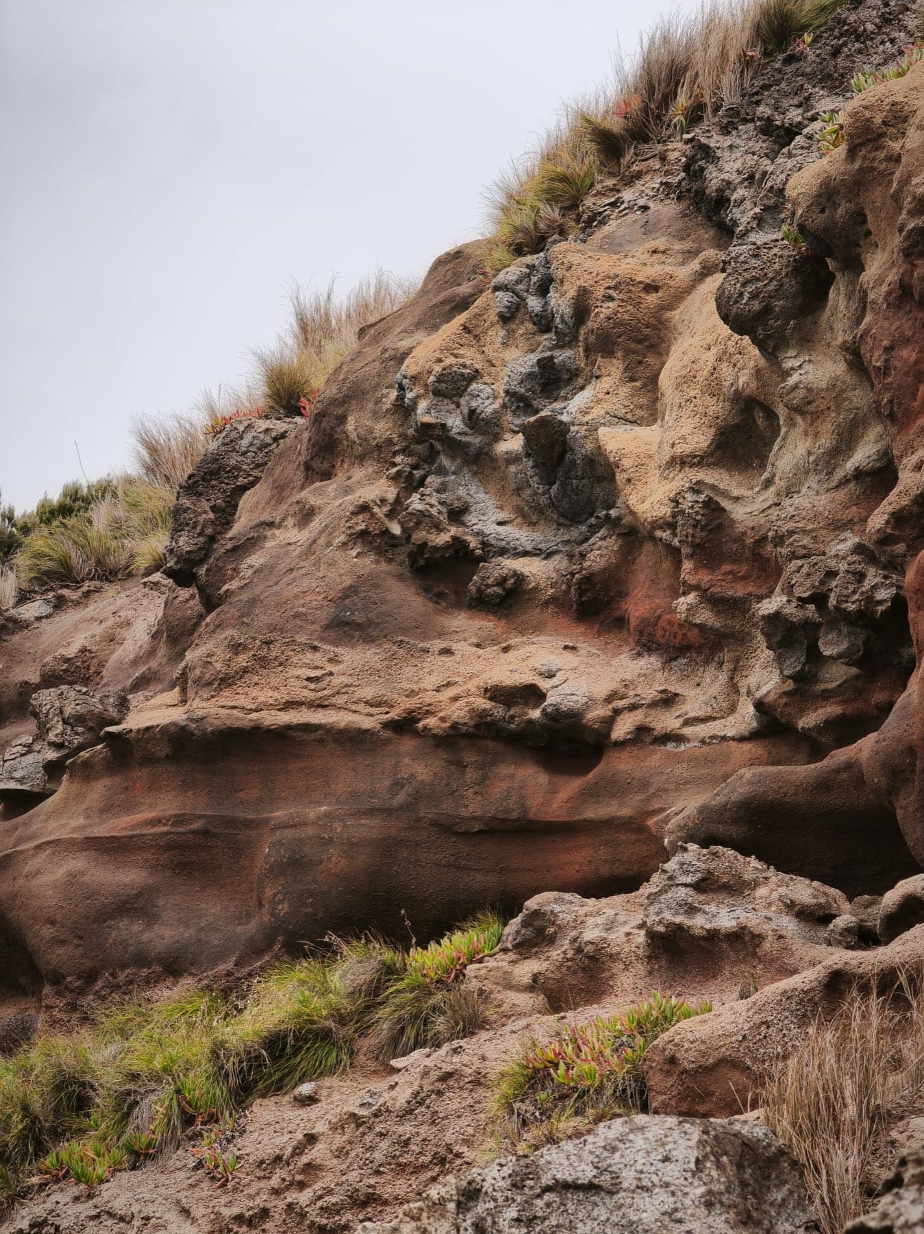 Layered volcanic rock woven with grass and succulents